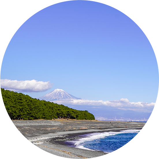 オール・アバウト・静岡